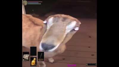 When the boss sees you but you don't enter the room