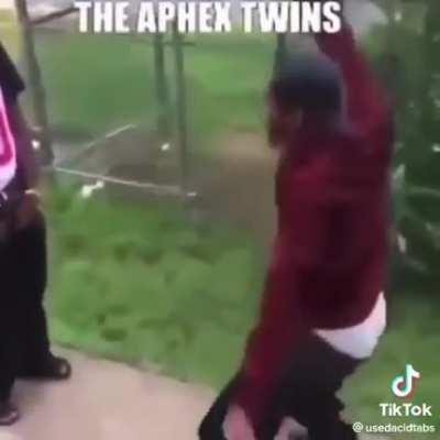 The Aphex Twins