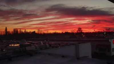 Couldn't resist 😍