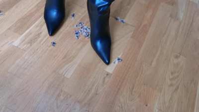 Lucky last survivors - bundle for sale