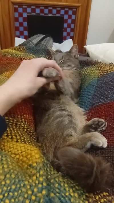 Little Miss Dancy Pants