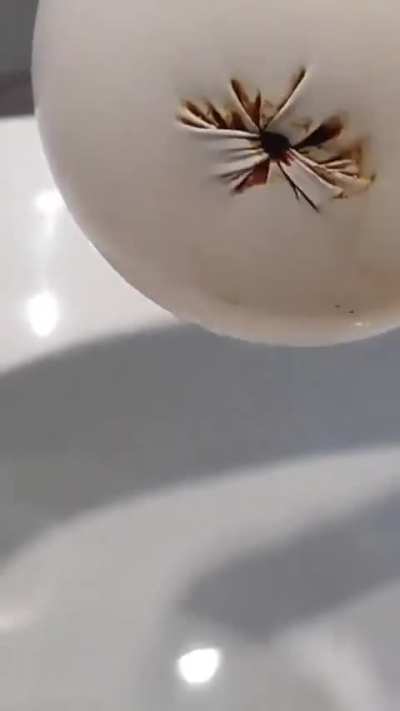 For those who do not like using water to wash after pooping 😏😏