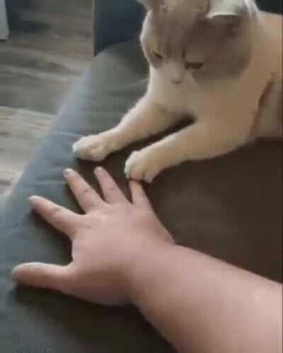 I also can do that hooman