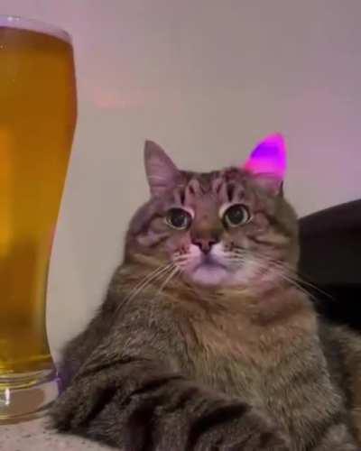 when you're 30 and you come to a club for a beer!🤭