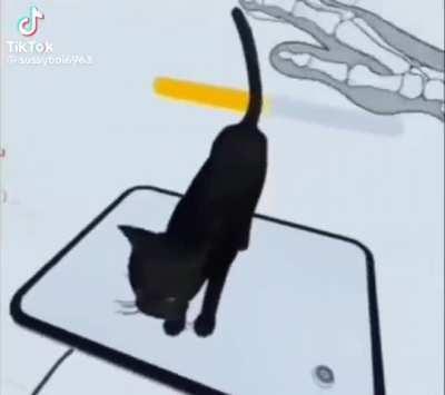 The wunkture is here