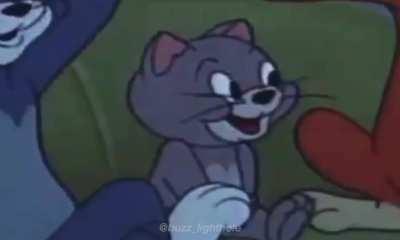 Mujicanos promedio los MMC o miércoles de peluditos