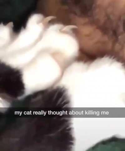 To kill or not to kill