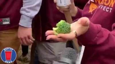 me at any sport oriented event