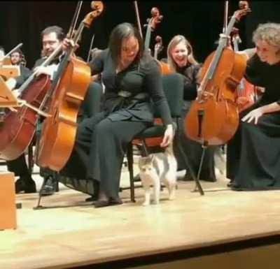 Wholesome main character :)