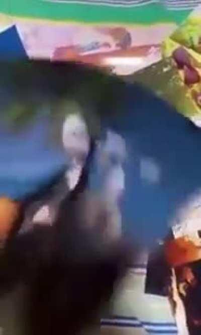 Yullalol - Video #3215