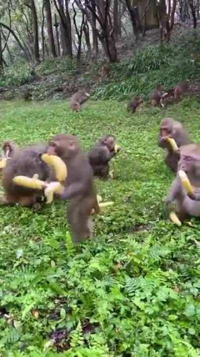 When they give us a discount