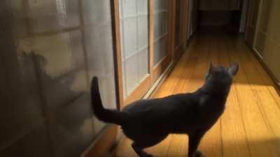 Let me in. LET ME IN!!!