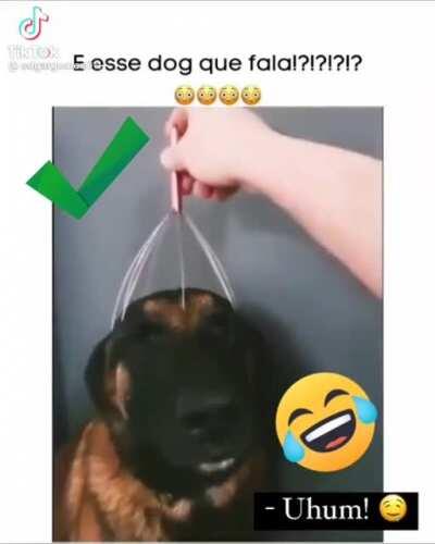 Eu estou falando sério, eles estão falando!!!