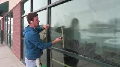 Learn To Wash Windows With The 