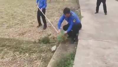 大日本皇军来了😅