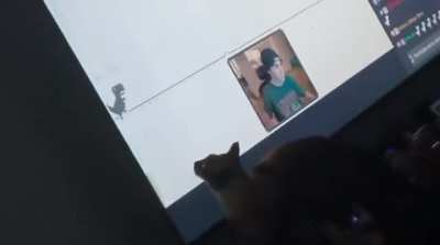 gato querer dinosaurio