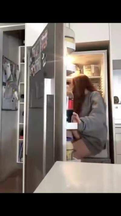 Attempting to hide in the fridge
