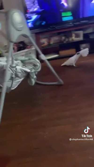 WHAT IS THIS BLASPHEMY?!?!?