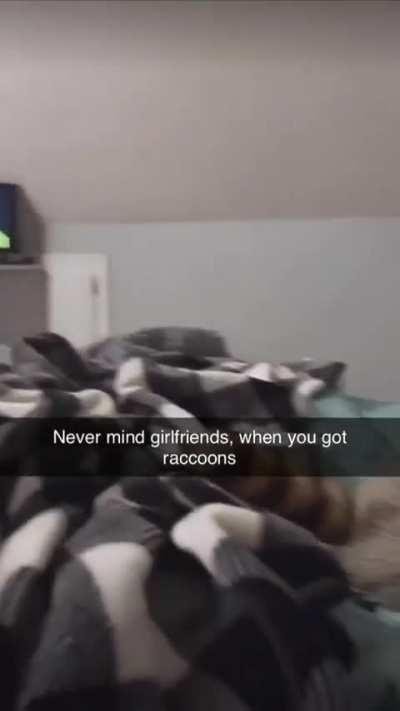 Lyrics, reggae like, igreel