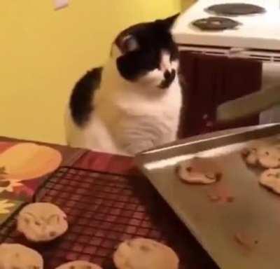 Kitler is denied some cookies