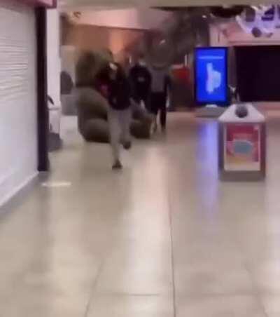 He just wanted a cuddle