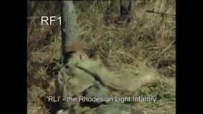 STOP WATCHING GAY SPIDER CRAP AND SAVE RHODESIA!!!!!