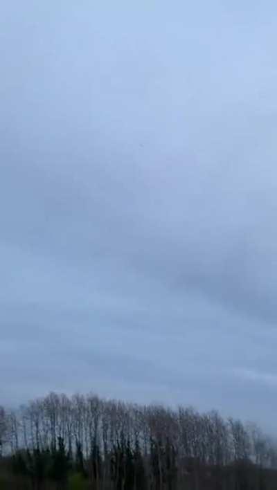 Swastika boomerang wtf?!?!