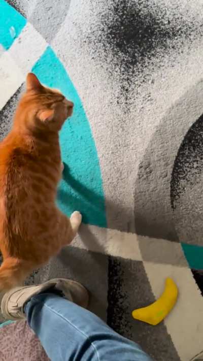 He was upset with me for going to work. Again.