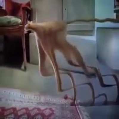 Wunks from outta space