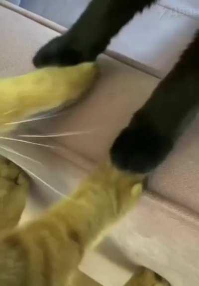 Did you also cry at this moment? 😭