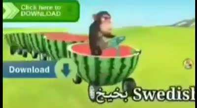 BeelcitosMemes - Video #9017