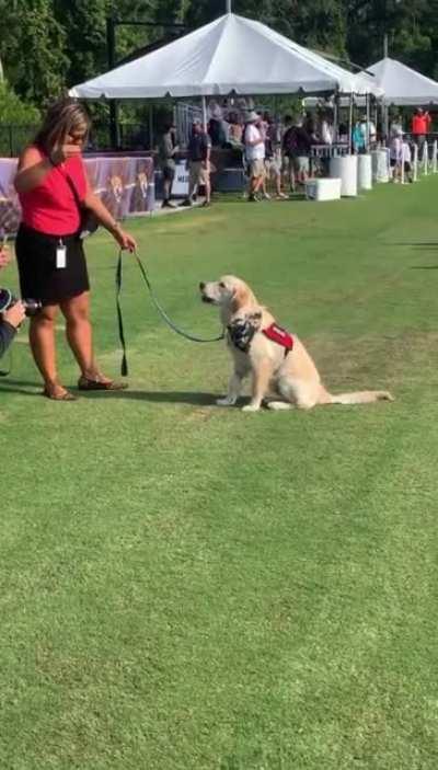 The biggest star of Jaguars camp today