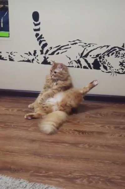 So who’s the tiger here huh?