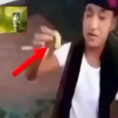 Please no average apandah fan 😥