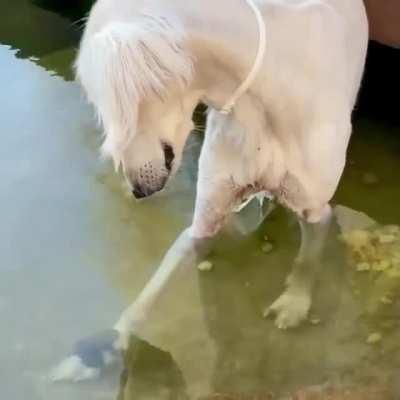 It's on my leg. IT'S ON MY LEG!!!!!!!!