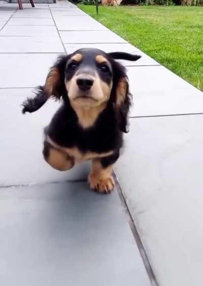 Maybe she’s born with it..