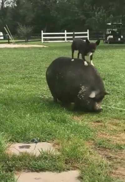 These two are going places.