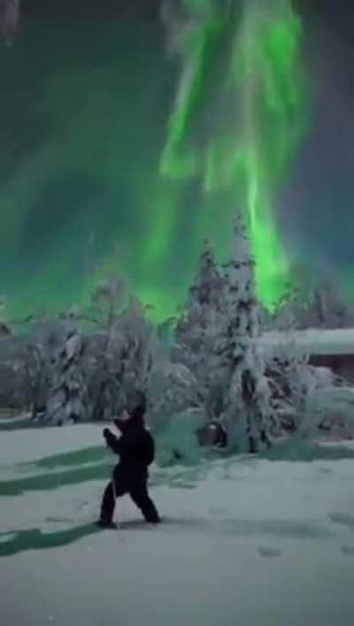 🔥The Northern lights, Ranua - Finland