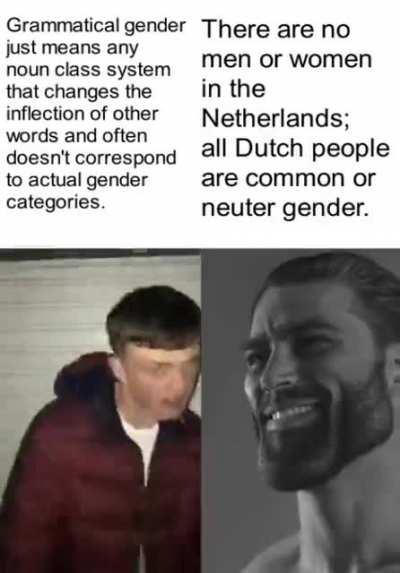 Binary gender but epic