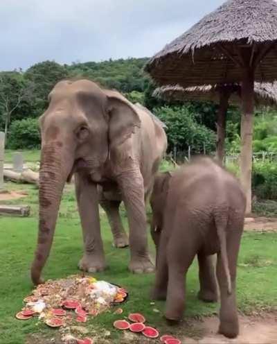 Mooordida! Mooordida!