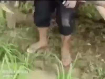 Now that's excellent