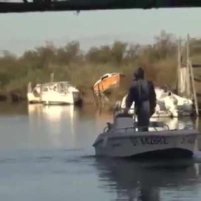 I can't believe a bird did it.