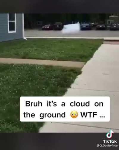 ¿cloaking device malfunction 😂