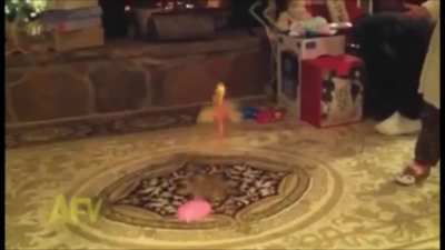 Flutterbye fairy toy flies towards its final destination