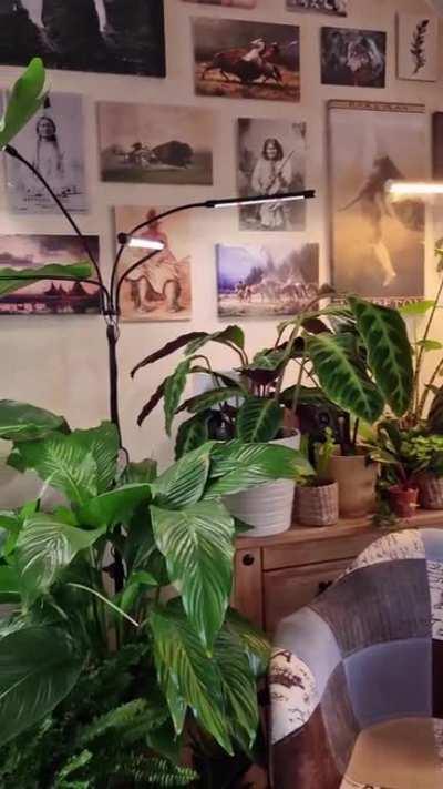 so here's a glimpse of my living room in daytime