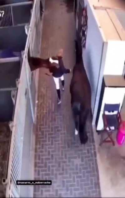 hay, hair, who cares!