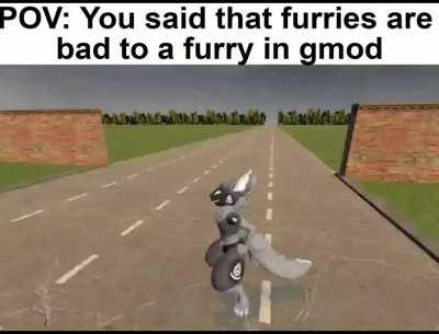 furry_irl