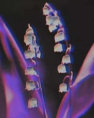 Made with video analogs