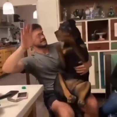 Put ya paws in the air