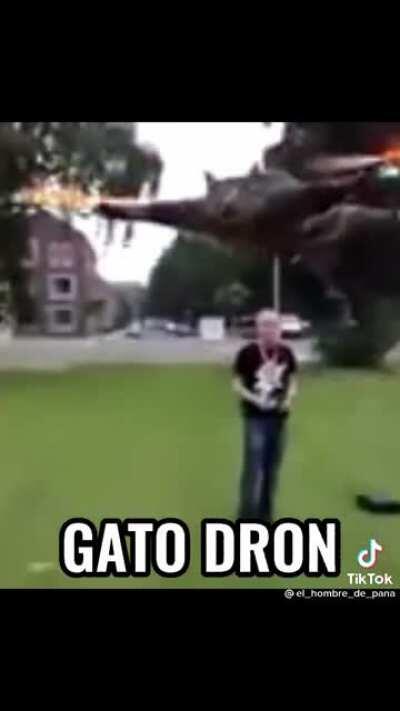 Simplemente CHIPOST latino